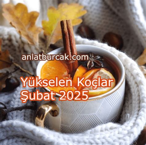 NBA’de Yükselen Koçlar