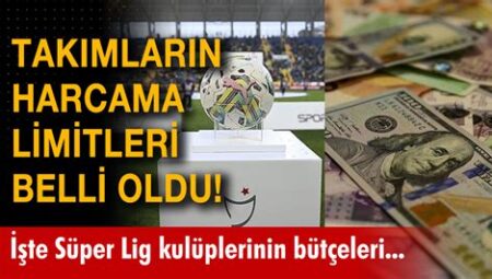 Süper Lig Takımlarının Sezonluk Bütçeleri